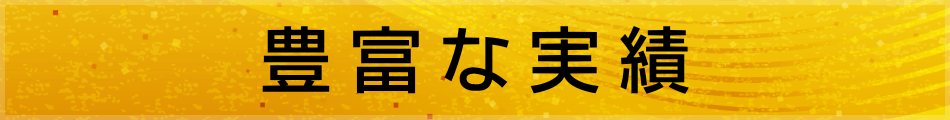 豊富な実績